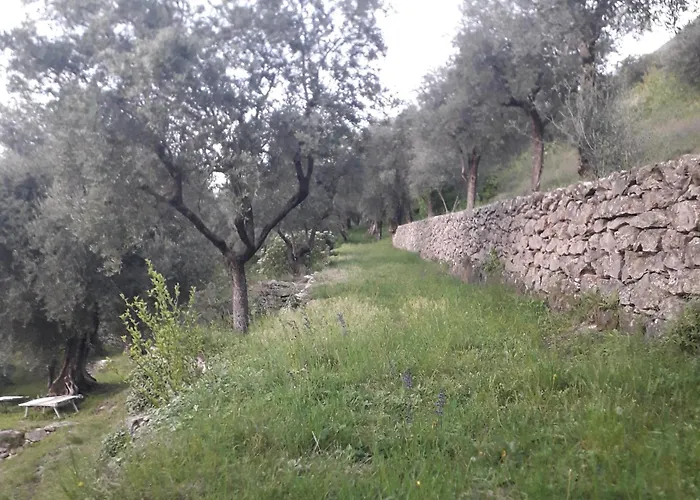 Immersa In Natura Lejlighed