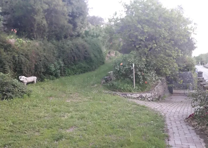 Immersa In Natura Lejlighed