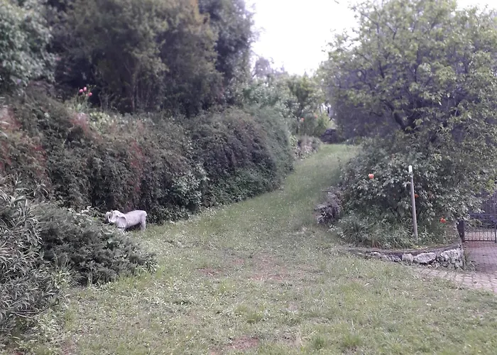 Lejlighed Immersa In Natura
