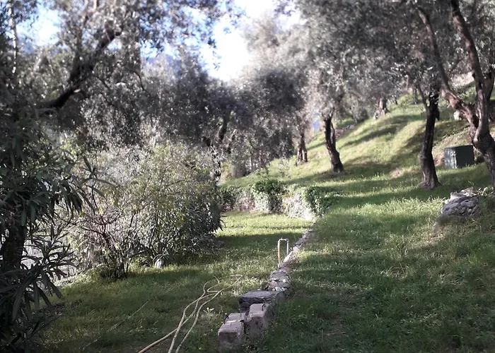 Lejlighed Immersa In Natura *