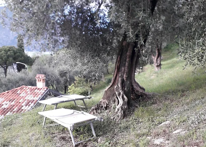 Immersa In Natura Malcesine