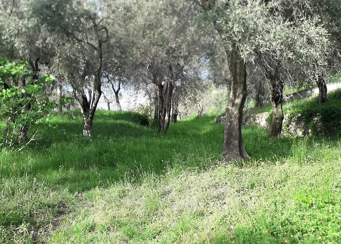 Immersa In Natura
