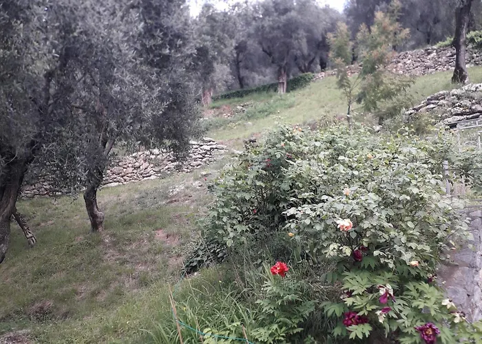 Immersa In Natura Malcesine