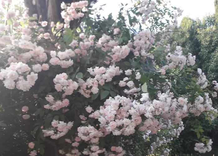 Lejlighed Immersa In Natura Malcesine