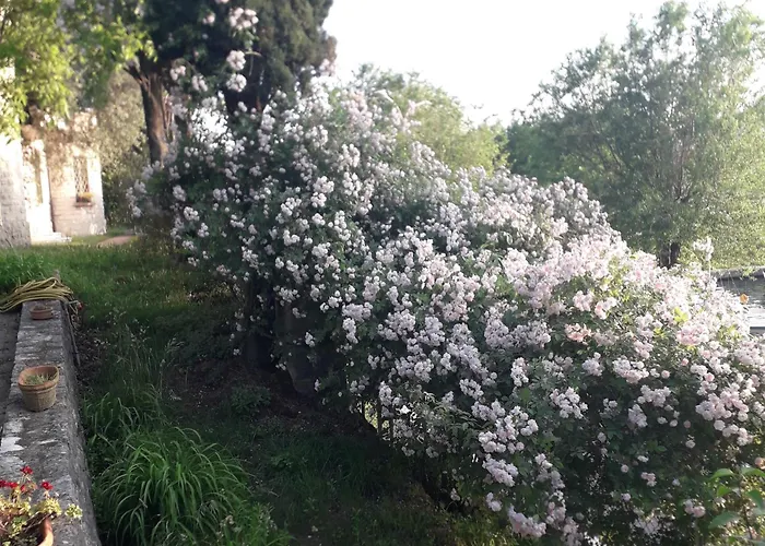 Immersa In Natura Lejlighed Malcesine