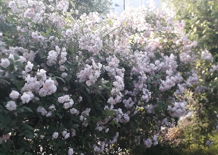 Immersa In Natura Lejlighed