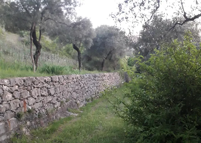 Appartamento Immersa In Natura *