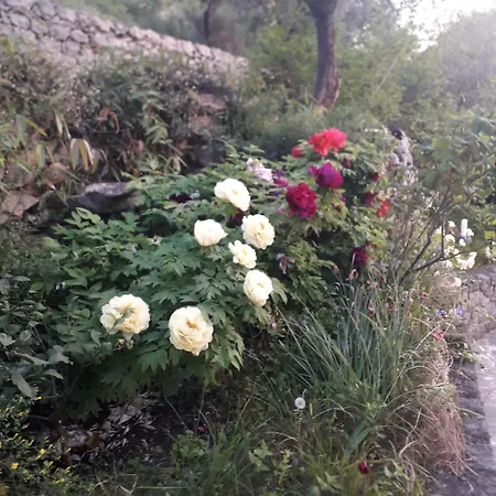 Immersa In Natura * Μαλτσεζίνε