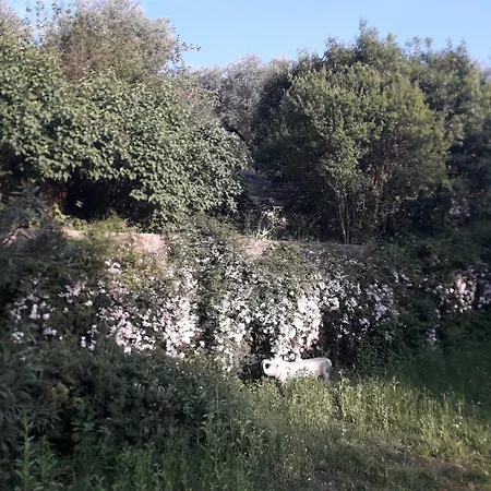 Immersa In Natura Μαλτσεζίνε