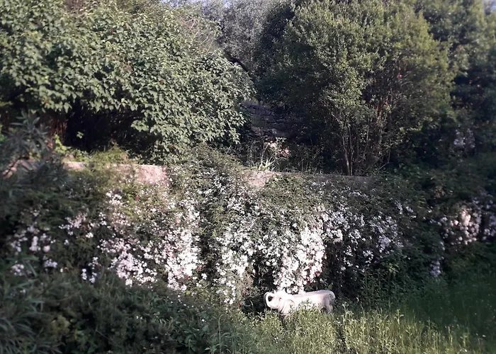 Immersa In Natura Malcesine