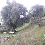 Appartamento Immersa In Natura *