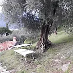Immersa In Natura Malcesine