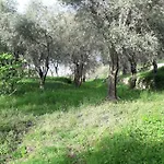 Immersa In Natura