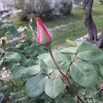 Appartamento Immersa In Natura *