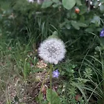 Appartamento Immersa In Natura *