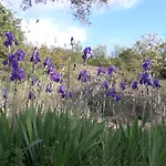 Immersa In Natura