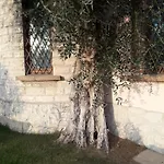Immersa In Natura Malcesine