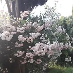 Appartamento Immersa In Natura Malcesine