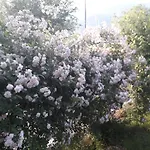 Immersa In Natura Appartamento