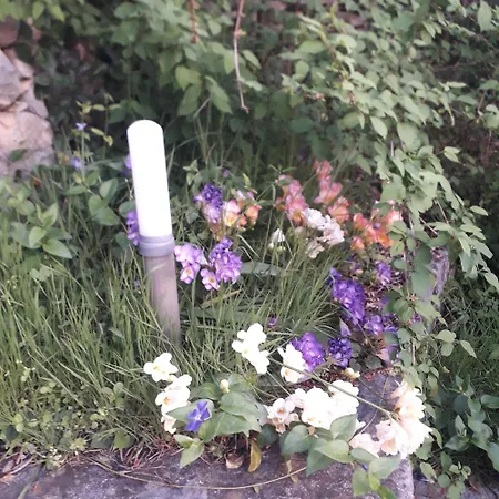 Immersa In Natura Apartman *