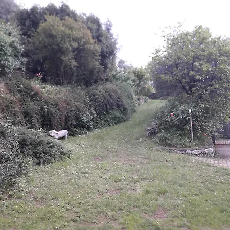 Apartment Immersa In Natura