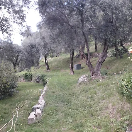 Apartment Immersa In Natura