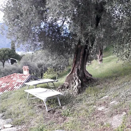 Immersa In Natura Malcesine