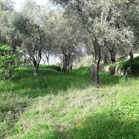 Immersa In Natura