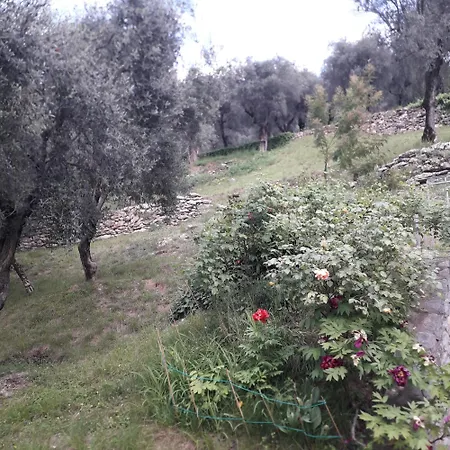 Immersa In Natura Malcesine