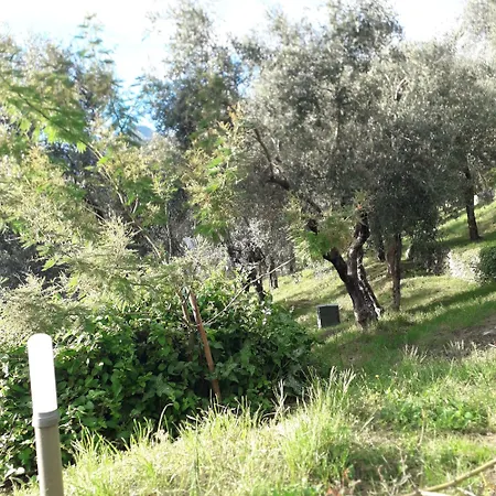 Immersa In Natura *