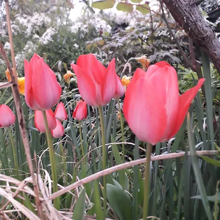 Apartman Immersa In Natura *