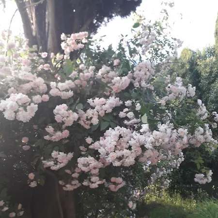 Apartman Immersa In Natura Malcesine