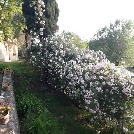 Immersa In Natura Apartment Malcesine