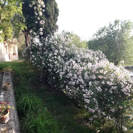 Immersa In Natura Apartman Malcesine