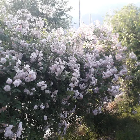 Immersa In Natura Apartman